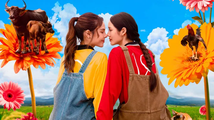 Hometown Romance (Người Yêu Miền Quê)